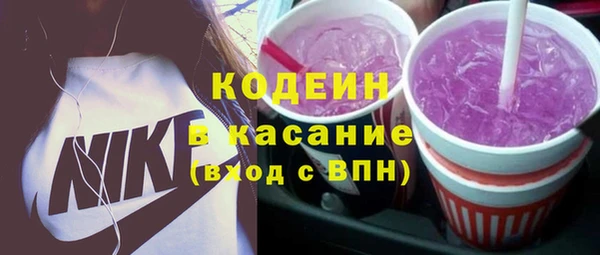 твердый Арсеньев