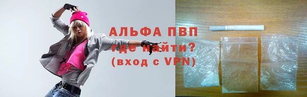 стаф Алексин