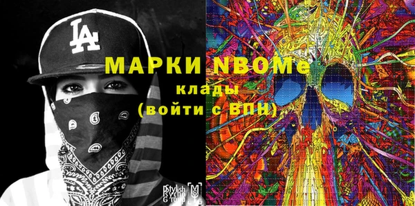 твердый Арсеньев