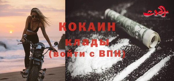твердый Арсеньев
