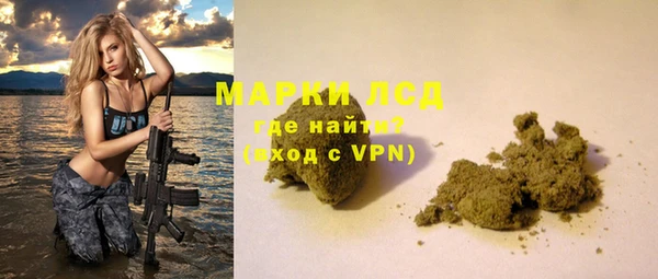 твердый Арсеньев