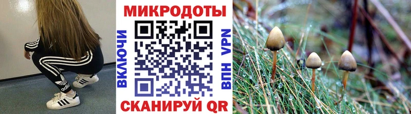 мега рабочий сайт  где купить наркоту  Фатеж  Галлюциногенные грибы MAGIC MUSHROOMS 